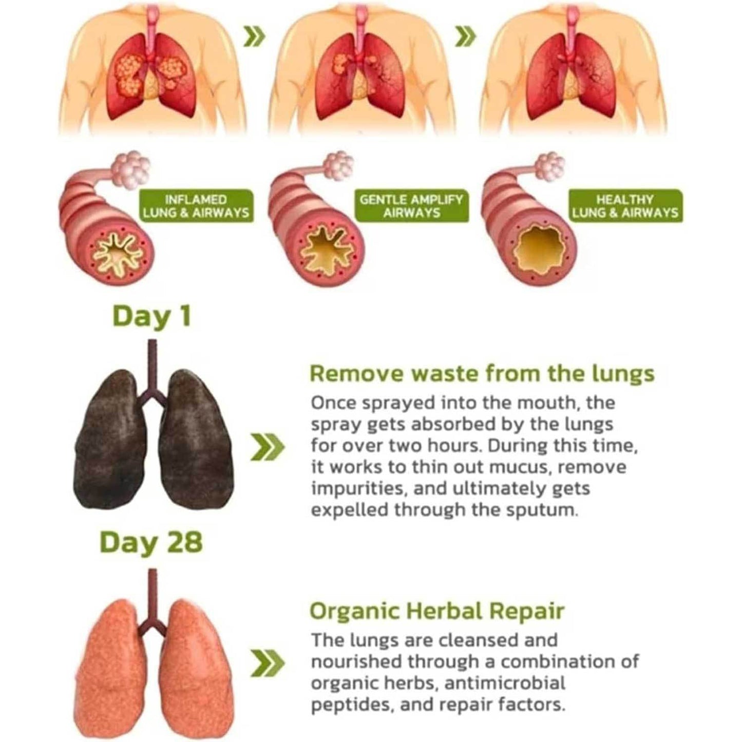 BreathDetox Herbal Lung Cleansing Spray